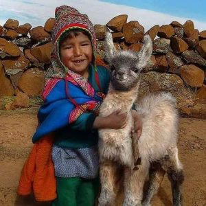 cusco clasico