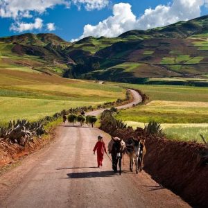 Cusco Económico