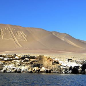 Paracas y Nasca 3d 2n bit 130