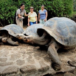 Galápagos ideal
