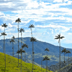 Colombia con aroma de café