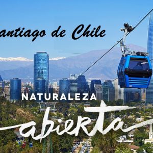 Santiago elemental