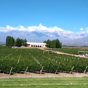 Valle de Uco