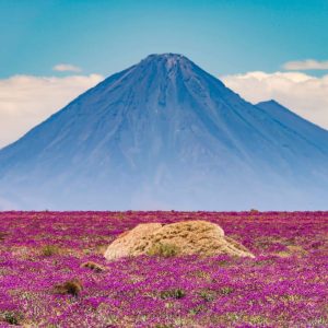Atacama imperdible