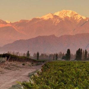 Bodegueando en Mendoza